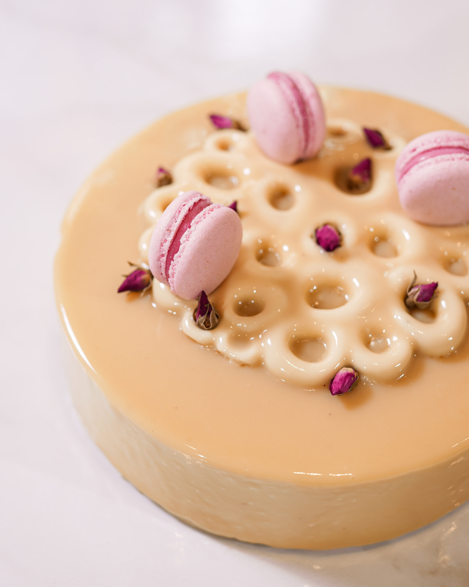 Entremet Pistache Framboise